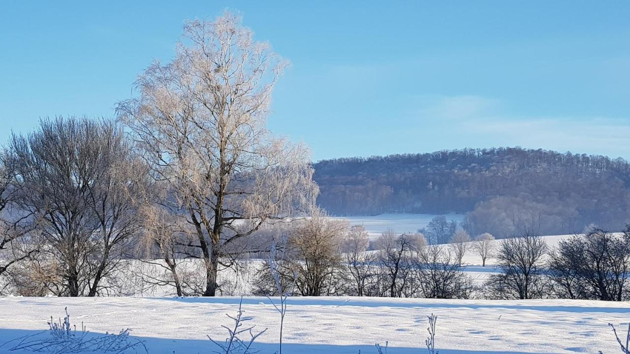 Appartamento Landidylle Bremke  Esterno foto